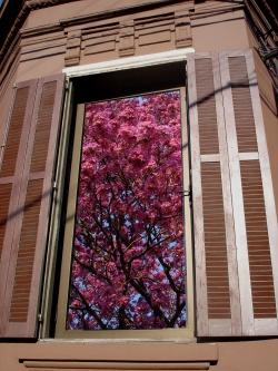 É primavera no StudioClio É primavera no StudioClio